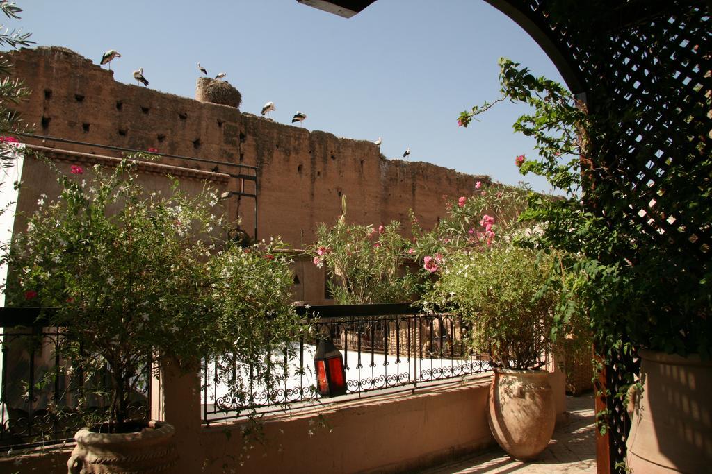 Riad Carina Marakeş Dış mekan fotoğraf