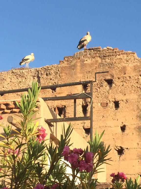 Riad Carina Marakeş Dış mekan fotoğraf
